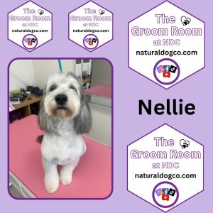 Nellie