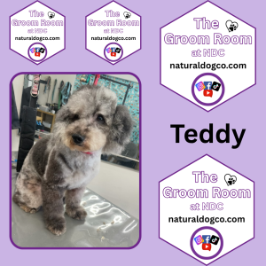 Teddy