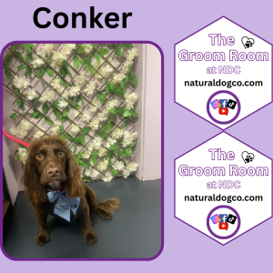 Groom Pic Conker