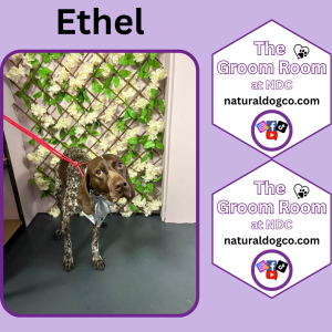 Groom Pic Ethal