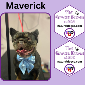 Groom Pic Maverick