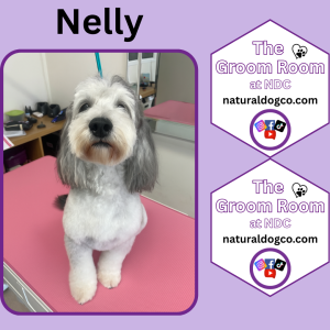 Groom Pic Nelly