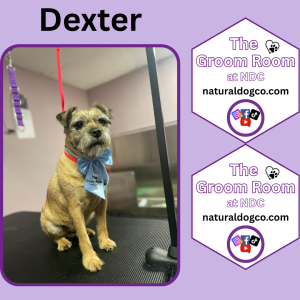 Groom Pic Dexter