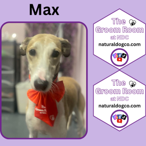 Groom Pic Max